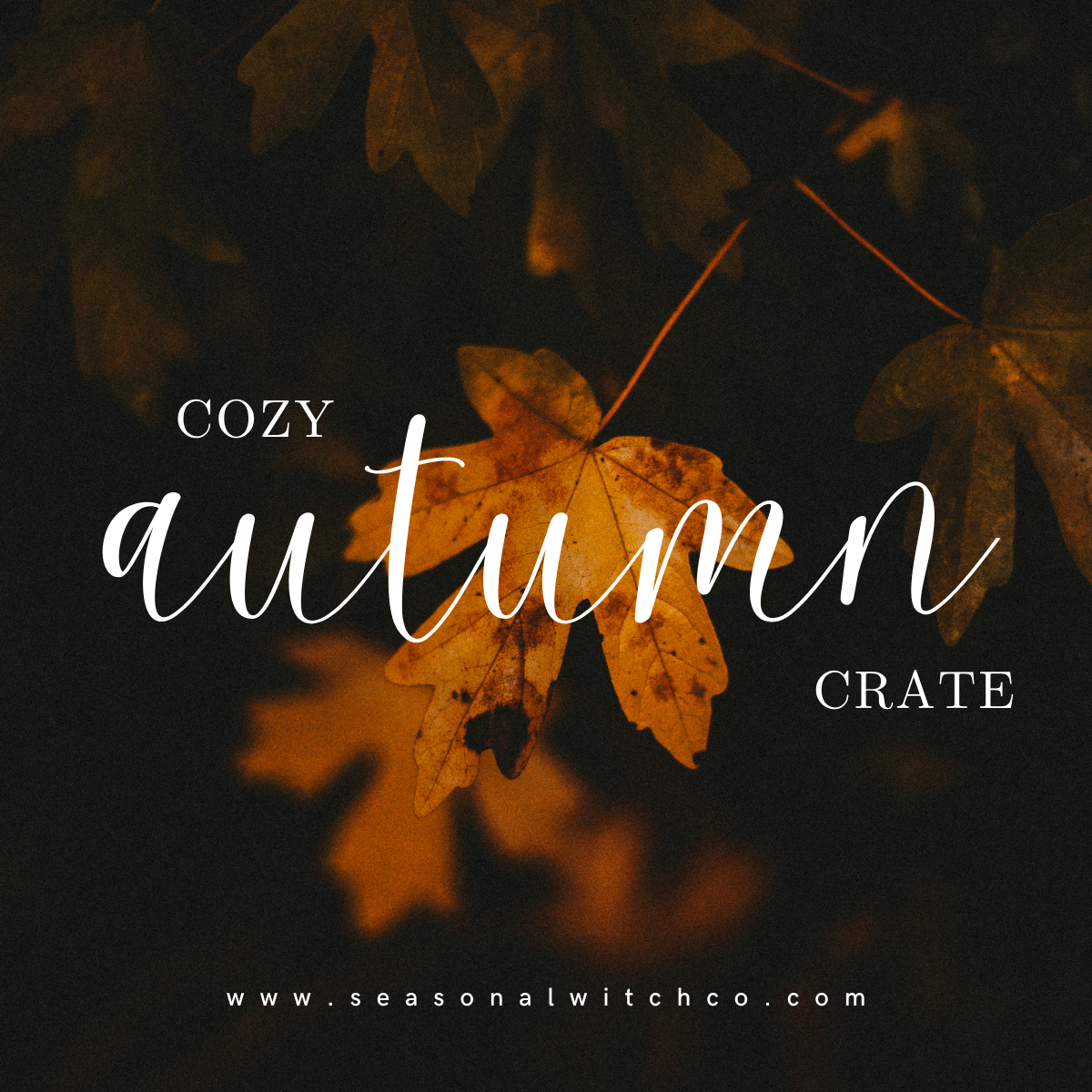 Cozy Autumn Crate