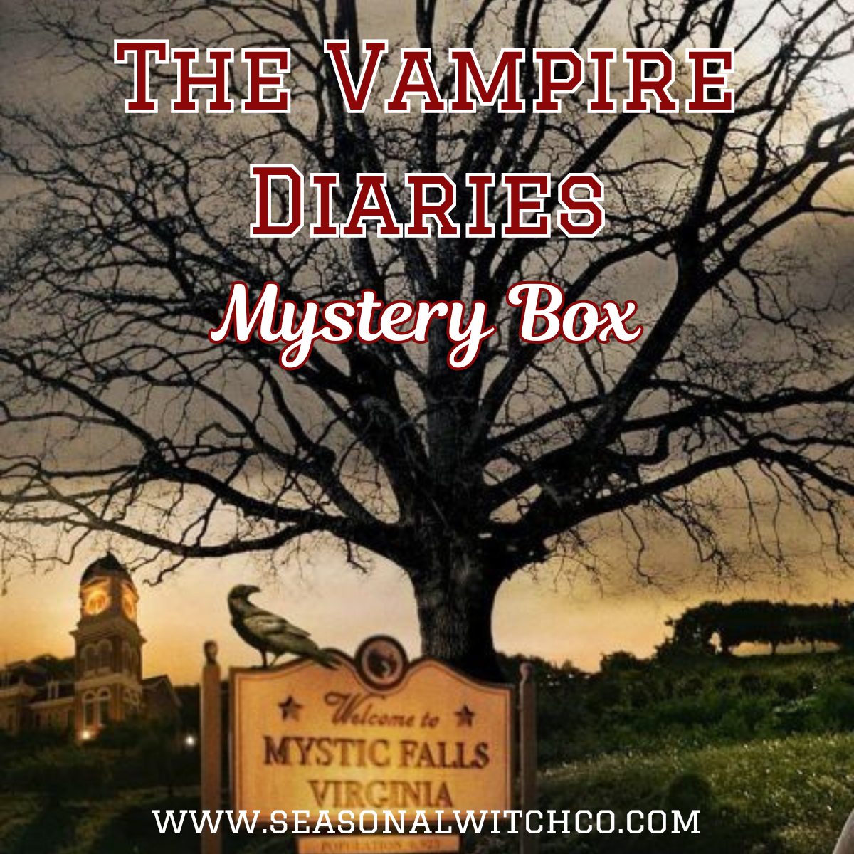 Vampire Diaries Mystery Box