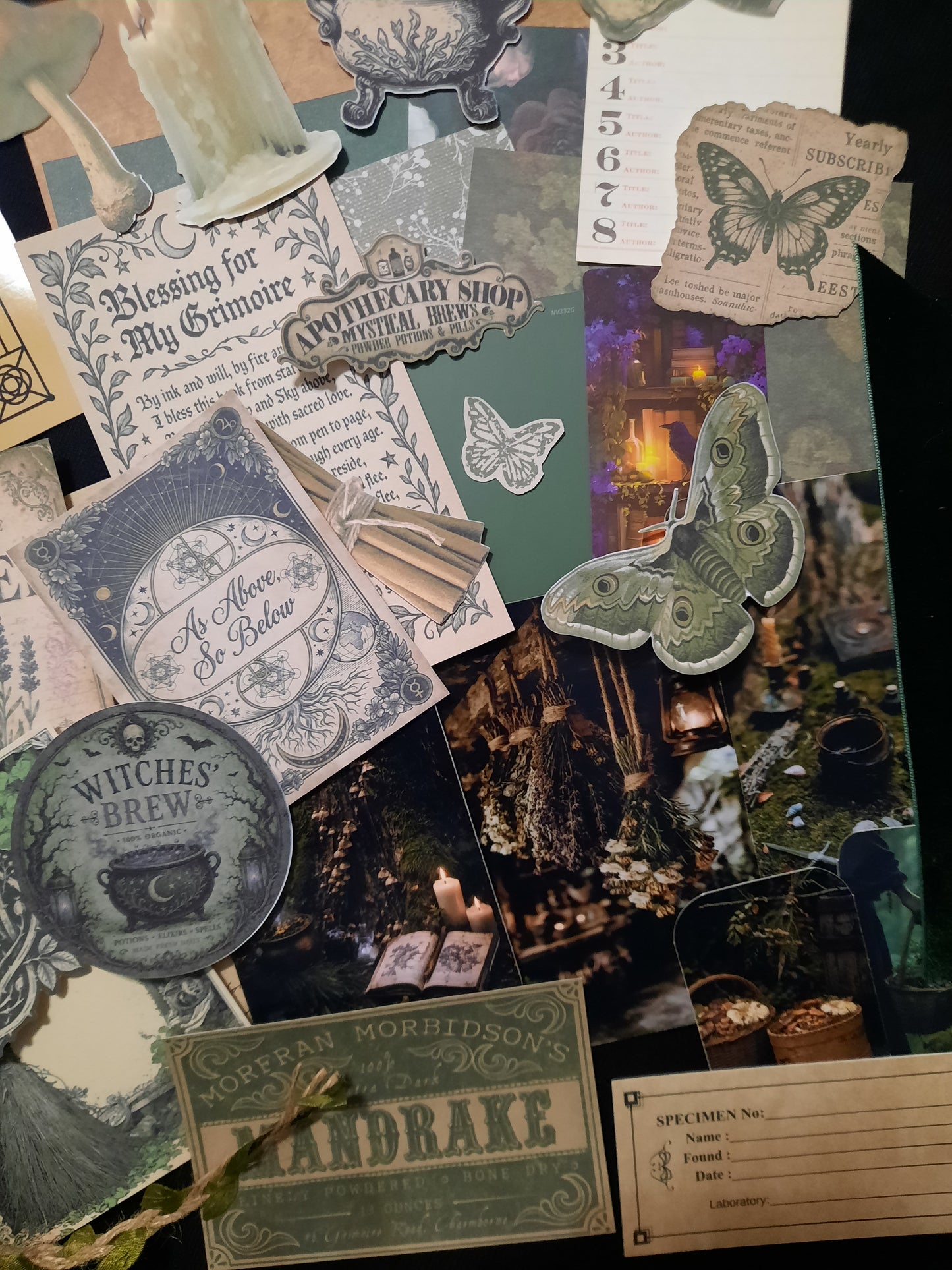 Forest Witch Scrapbook Kit | 39 Piece Curated Scrapbook Collection