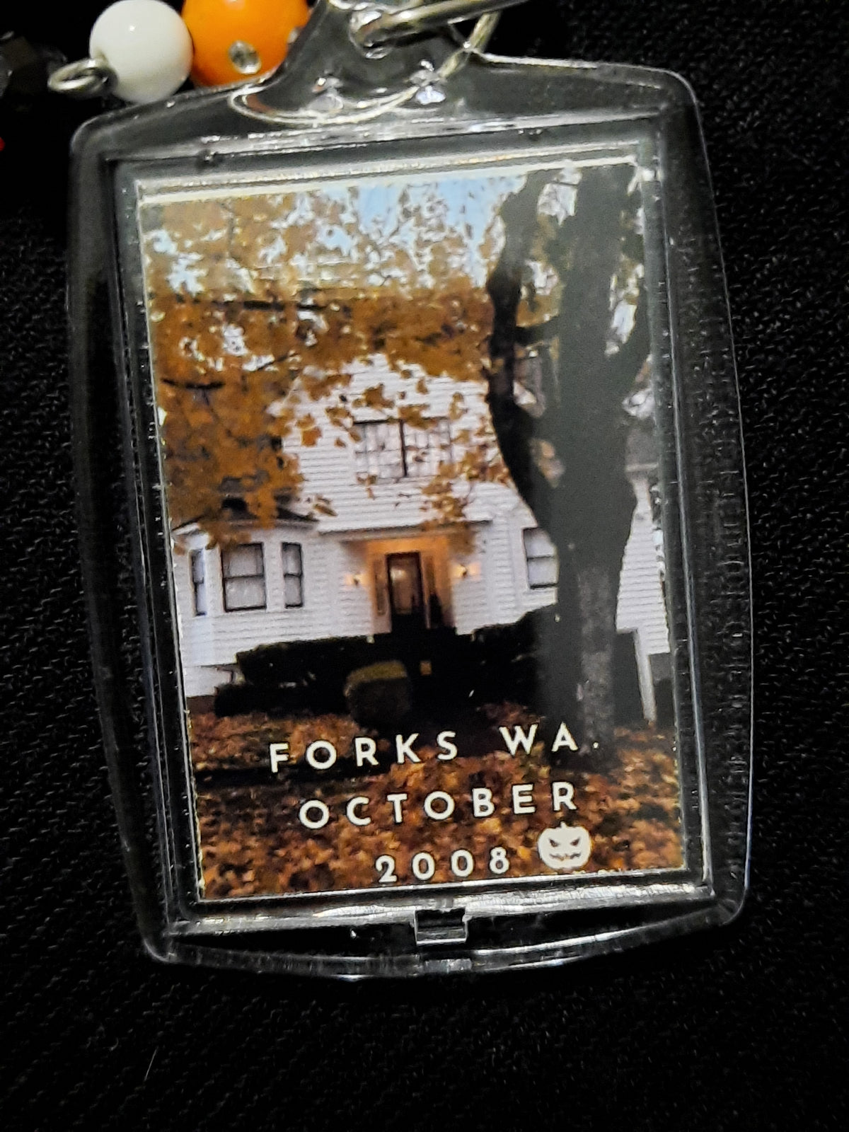 Halloween in Forks Bundle| Twilight-inspired October 2008 Ephemera
